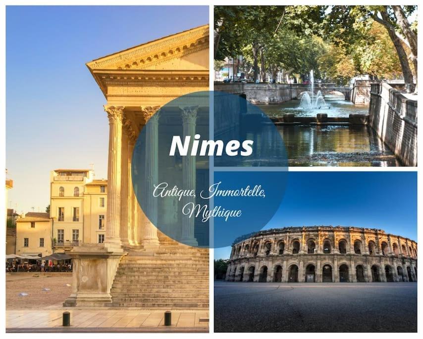 Le Murmure Du Palmier * A 2 Min * Parking Prive * Terrasse Apartment *